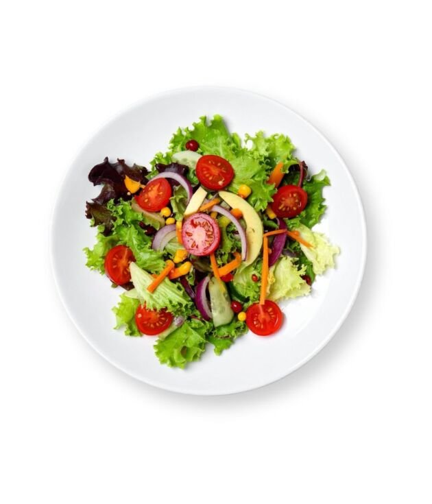 Garden Fresh Delight Salad with mixed greens and veggies at NY Diner Boston in Brighton MA